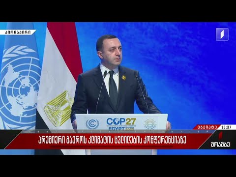 ირაკლი ღარიბაშვილის გამოსვლა გაერო-ს კლიმატის სამიტზე
