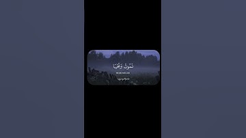 #ياسر_الدوسري #سورة_المؤمنون #اكسبلور #قران_كريم #المصحف #لايك