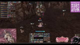 🌸 Dark Dragon - Leveling Characters [PT-BR/ENG]