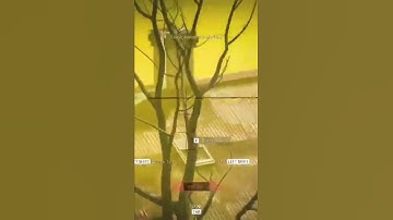 Quick Scope Air Snipe #cod #warzone #quickscope #sniper