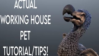 Actual Working House Pet In Ark Survival Ascendedevolved Tutorialtips Run-Down