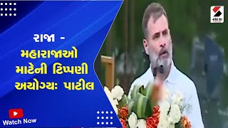 Lok Sabha Election | રાજા-મહારાજાઓ માટેની ટિપ્પણી અયોગ્ય : પાટીલ | Rahul Gandhi | C.R. Patil