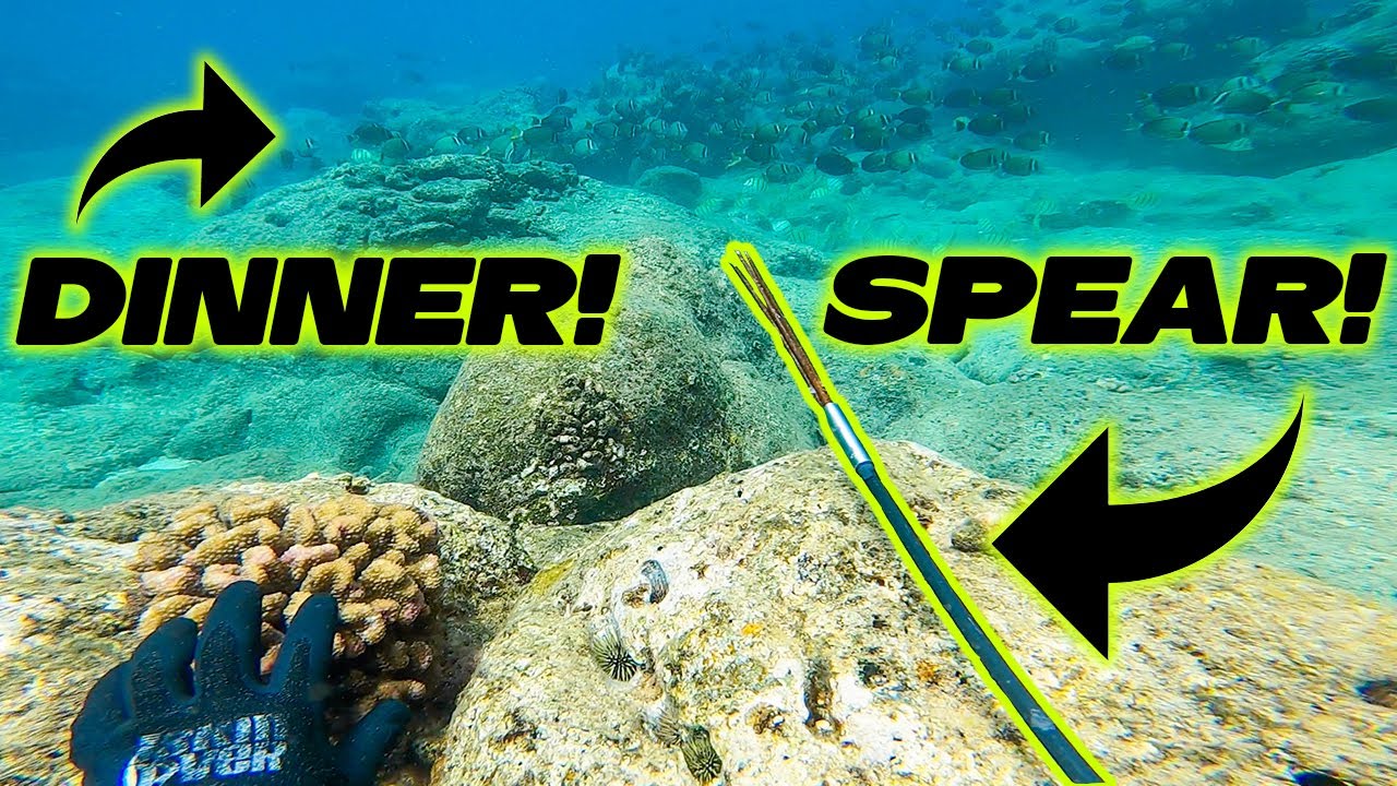 Catching Dinner with a Pole Spear! Spear Fishing in Hawaii - Freediving the  Pacific 🤙 