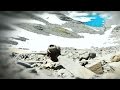 Montañistas chilenos encuentran un avión perdido en los Andes hace más de 53 años