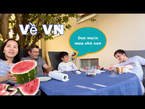 Video Sơn lại trần nhà sáng loáng. Về Việt Nam Joe muốn nuôi... - youtube
