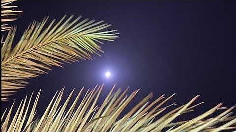 آية الكرسي مكرره بصوت القارئ الشيخ ماهر المعيقلي❤️ #آية_الكرسي #ماهر_المعيقلي #قراءة_القرآن_الكريم