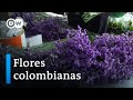 Colombia: Flores contra la crisis