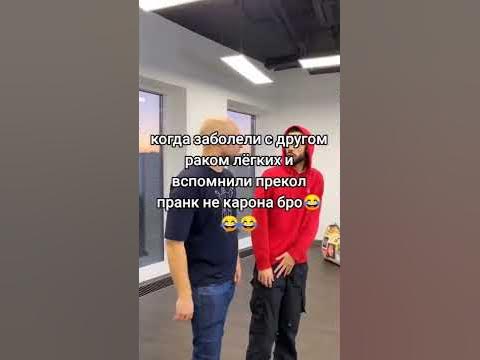 медни бык 1488 - YouTube