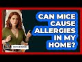 Can Mice Cause Allergies In My Home? - Insects and Invaders