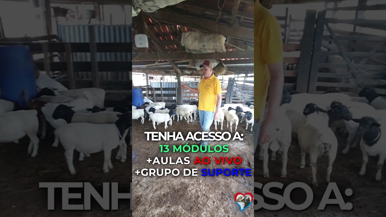 Como criar ovinos e caprinos de forma simples eficiente e lucrativa.