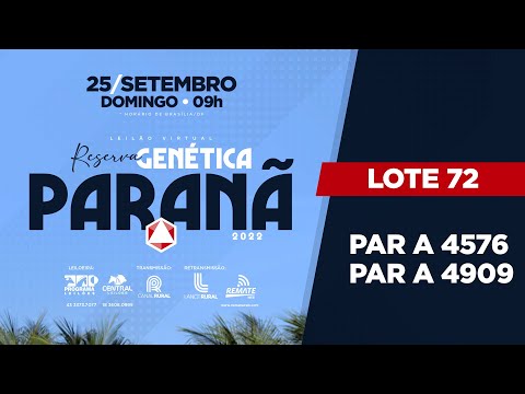 LOTE 72 PAR A4909 PAR A4576