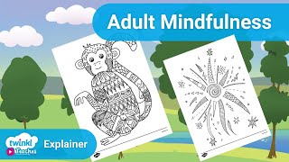 Adult Mindfulness Colouring