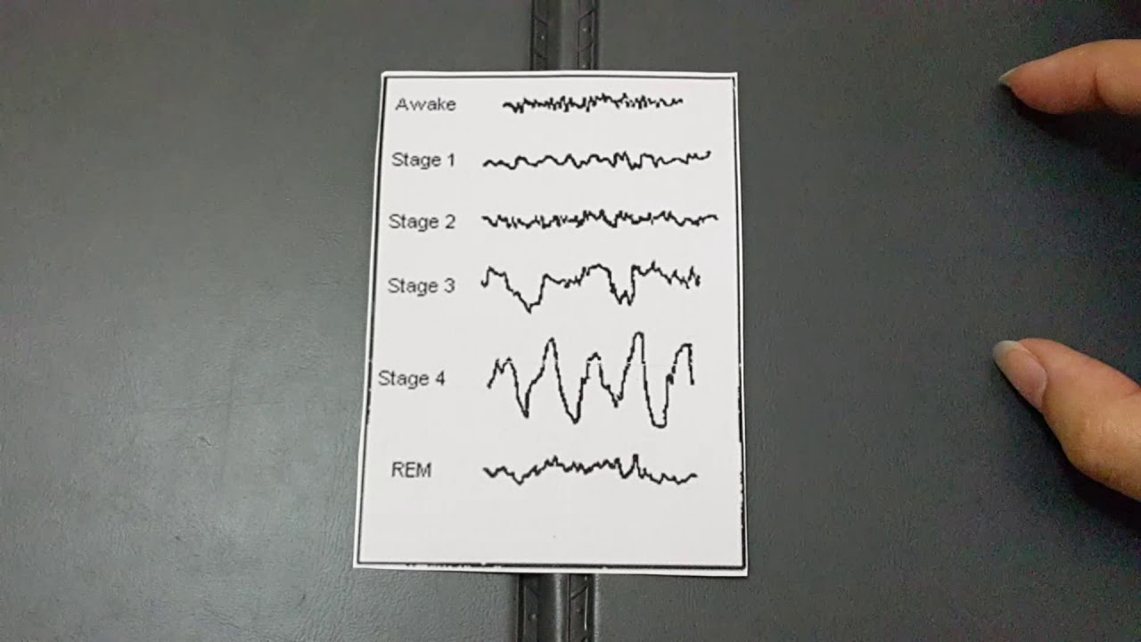 سلسلة النوم - ج4- نوم القيلولة وغفوة الطاقة