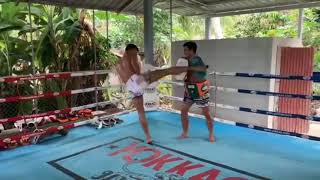Superlek ‘The Kicking Machine’ Kiatmoo9 Muay Thai Pad Work Highlight #1