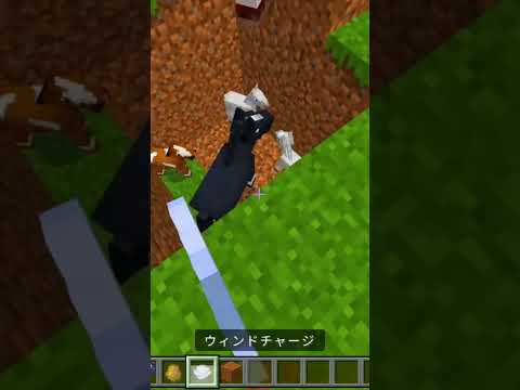 神業やってみた！ #マイクラ #minecraft #マインクラフト#7月5日 #hive