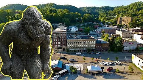 Appalachian Mystery: The Woodbooger of Norton Virg...