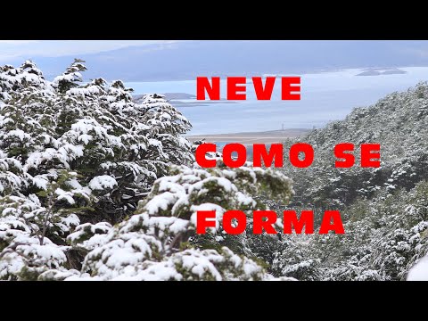 Vídeo: Como Se Forma A Neve