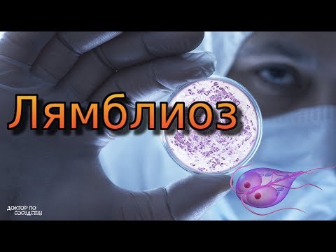 Лямблиоз / Giardiasis