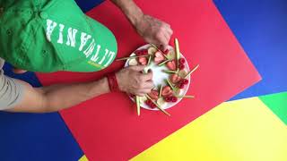 HEALING FOOD MANDALAS BY INTERNATIONAL ARTIST AND CHEF ROLANDAS DABRUKAS.