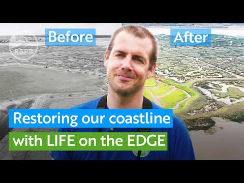 The four-year mission to restore England's coastline with LIFE on the Edge | RSPB thumbnail