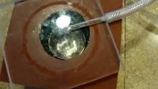 Homemade Oxygen Plasma Etcher & PDMS to Glass Bonding Test - Black Box Labs
