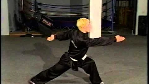 Anthony Demarco - Teaching Wu Shu Wheel Arm Slap