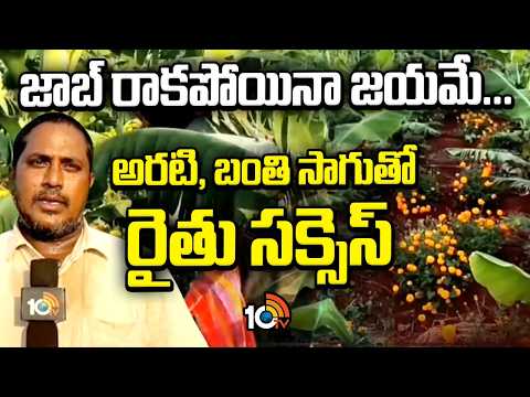 Farmer Success Story|Banana & Marigold Cultivation|జాబ్ రాకపోయినా జయమే..అరటి,బంతి సాగుతో రైతుసక్సెస్ - 10TVNEWSTELUGU