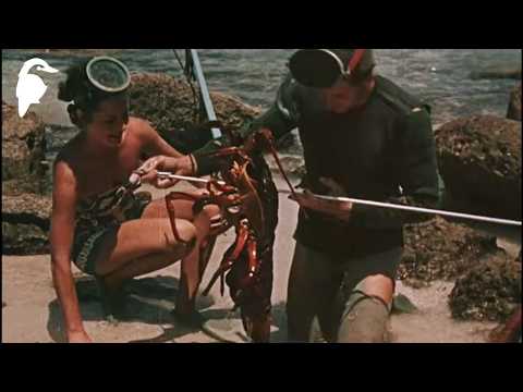 Bowen Island in 1956: Fishing Paradise off Jervis Bay | 4K Restoration