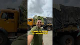 1313 tem origem #1313 #banana #ceasadesalvador