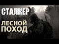 СТАЛКЕР ЛЕСНОЙ ПОХОД (Тайны Забытого Леса)