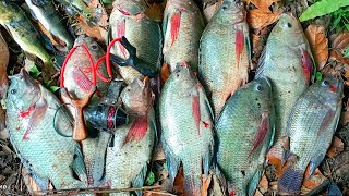 O DIA QUE A MOCHILA ENCHEU 02 PESCA COM ESTILINGUE SLINGSHOT FISHING 🇧🇷