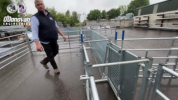 3 Way Drafting Fixed Sheep Yard