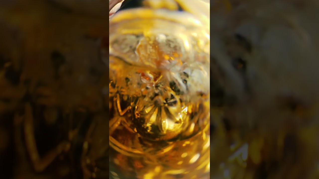 Hotel Social Media Video