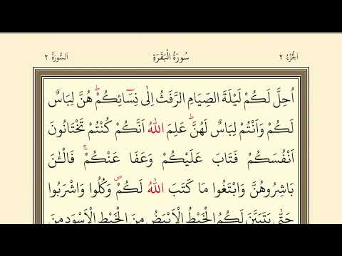 28.DERS | KURANI KERİMİ YAVAŞ VE TECVİTLİ OKUMA DERSLERİ |BAKARA 187-190 | SURAH AL BAKARA READİNG