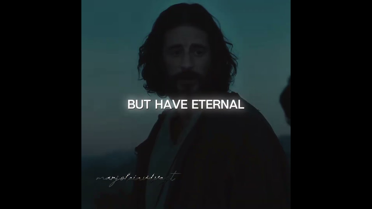 The Son has risen Jesus