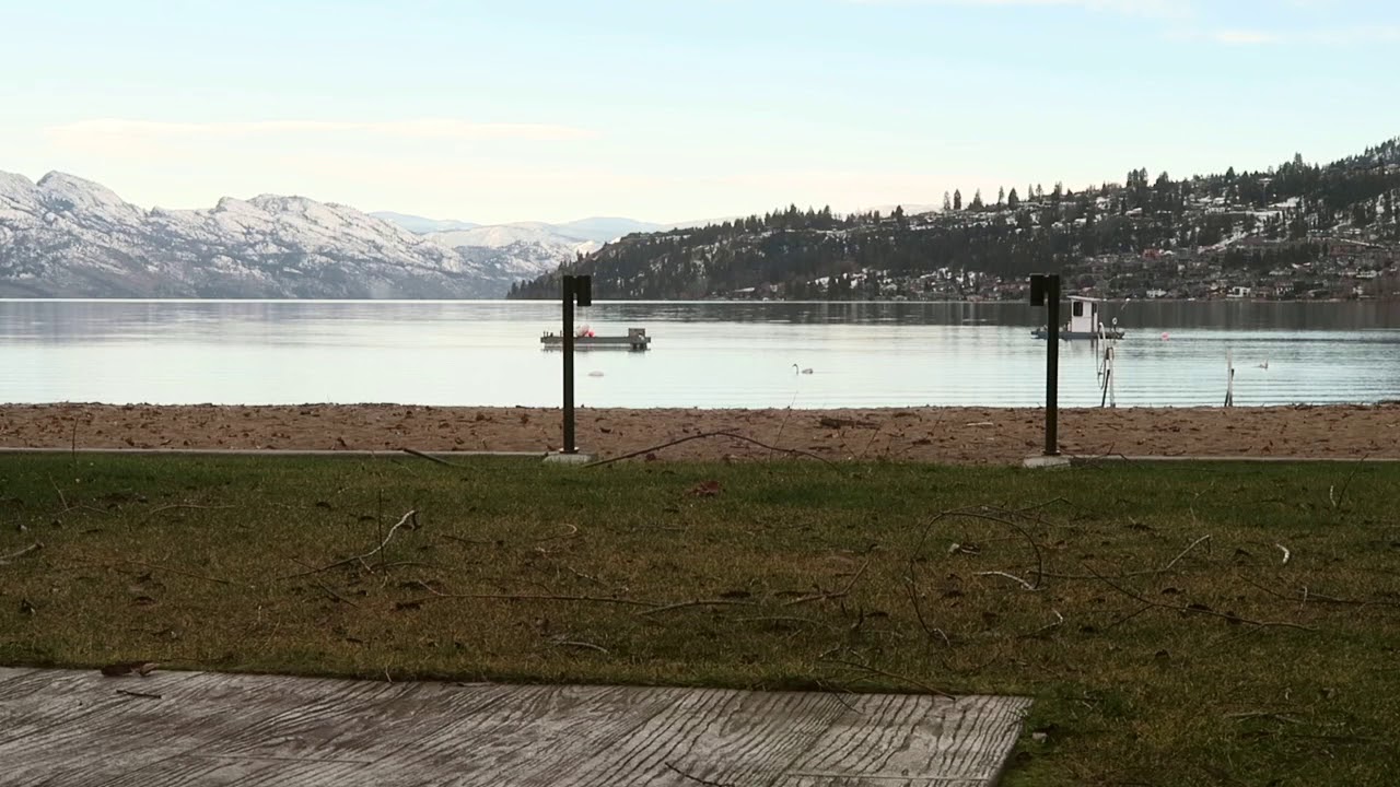 12 Minute Guided Meditation | For Anxiety And Strength 💜