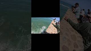 Download Lagu Jumping from the Krikia in Asilah Morocco #nogginsroams #asilah #morocco #solotravel #backpacking MP3