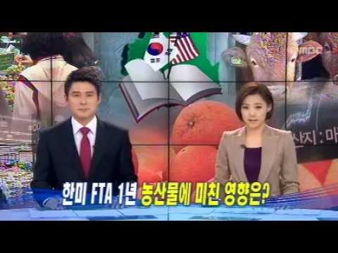 [대구MBC뉴스]한미 FTA 농산물 영향은?