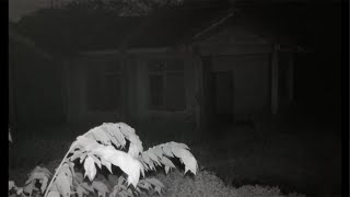 KOMPLEK INI DI TEROR POCONG NGERI CUYYY