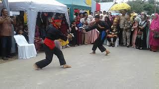 Silat Pelintau hilir