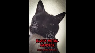 Black Metal Human: Music To My Ears