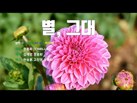 [은성 반주기] 별,그대 - 정용화(CNBLUE)