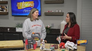 Holiday Pet Safety Tips from All About Animals Pet Clinic