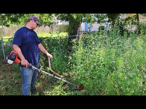 Video: Starostlivosť o zarastený trávnik – tipy na opravu zarasteného trávnika
