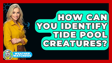 How Can You Identify Tide Pool Creatures? - Weather Watchdog