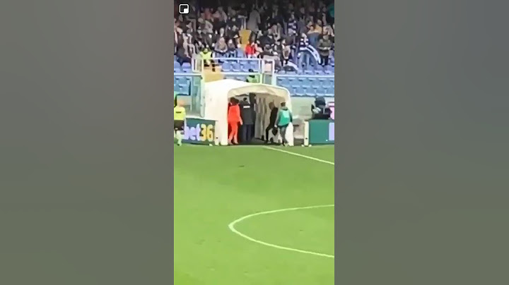 Atalanta Coach Gian Piero Gasperini shoving Sampdoria secretary general Massimo Ienca