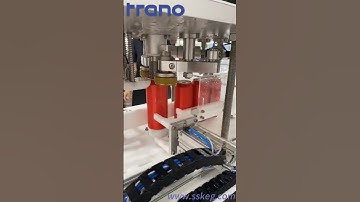 Aluminum Can Filling And Capping Process(director@sskeg.com )