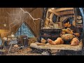 Perfect Solo Camping In Heavy Rain With My Dog Relaxing Sound Of Rain ASMR 