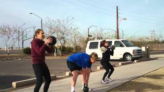 MaxFit Evolution fitness chall