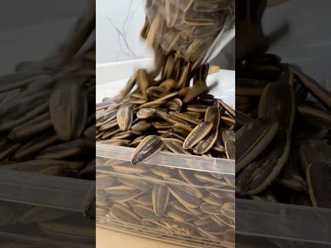 فكرة ممتازة لتقديم حب شمس بطريقة حديثة